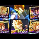 ゼンカイ4枚乗せの無料ヤバータがゴジすぎた【ドラゴンボールレジェンズ】【DRAGONBALL LEGENDS】【4周年】