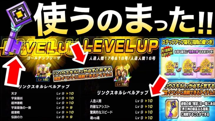 【ドッカンバトル】注意が必要『指南の鍵』おすすめの使い方を徹底解説！！【Dokkan Battle】【地球育ちのげるし】