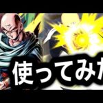 ライジング無効にできない飯を使ってみた【ドラゴンボールレジェンズ】【DRAGONBALL LEGENDS】【4周年】
