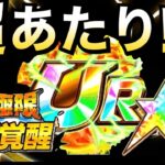 【ドッカンバトル】1番あたりじゃね？【Dokkan Battle】【地球育ちのげるし】