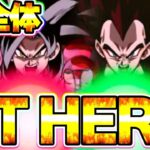 これが完全体になったGT HEROです【ドッカンバトル】