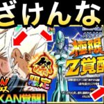 【ドッカンバトル】運営..いい加減にしろよ！！最新情報◯◯じゃねーか！！【Dokkan Battle】【地球育ちのげるし】