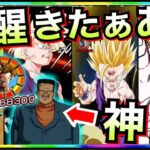 【ドッカンバトル】極限頼むぞ！！破壊力ある覚醒最高すぎんだが！！【Dokkan Battle】【地球育ちのげるし】