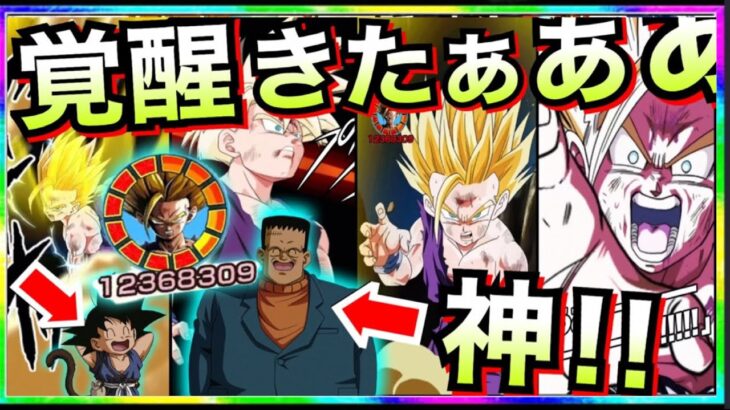 【ドッカンバトル】極限頼むぞ！！破壊力ある覚醒最高すぎんだが！！【Dokkan Battle】【地球育ちのげるし】