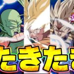 今年の聖龍祭はまさかのコイツ！誰が予想できるんだよー【ドッカンバトル】
