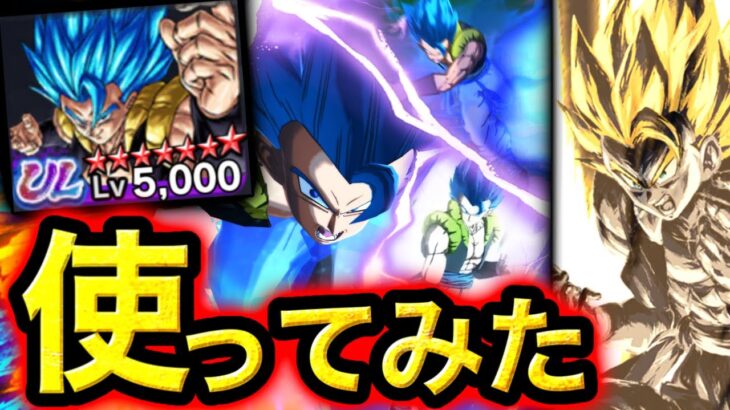いきなり最強の完凸ウルトラゴジータブルーがマジでぶっ壊れすぎた【ドラゴンボールレジェンズ】【DRAGONBALL LEGENDS】【ゲーム実況】【レジェンズフェスティバル】