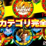 かつて最強だったかめはめ波カテゴリが完全復活！！【ドッカンバトル】