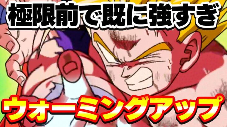 極限前で強すぎなんですLR悟飯ちゃんのウォーミングアップ【ドッカンバトル】