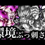 マジでこいつが環境キラーすぎて評価爆上がりしました【ドラゴンボールレジェンズ】【DRAGONBALL LEGENDS】【ゲーム実況】