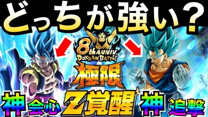 どっちが最強？『究極の二択』忖度なしで5周年極限どっちが強いか『4つ』の要素で徹底解説比較解説!! ドカバト8周年【ドッカンバトル】【地球育ちのげるし】