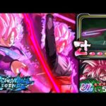 ウルトラロゼに最新ユニフラが来たので使ってみた【ドラゴンボールレジェンズ】【DRAGONBALL LEGENDS】【ゲーム実況】