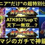 【悲報】またまたまたまたピッコロ一族が少しおまけをされる！マジュニア『だけ』の特別仕様で天下一覇者爆誕か…？【ドッカンバトル】