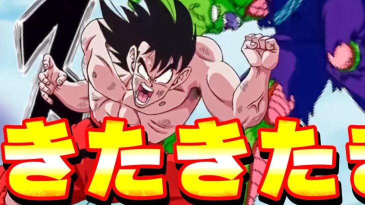GWに天下一武道会の悟空とマジュニアのWフェスきたきたきたきたー！【ドッカンバトル】