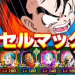 少年編カテゴリでセルマックスも余裕な時代です【ドッカンバトル】