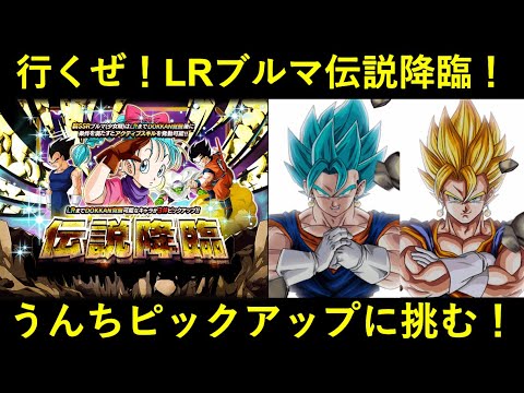 【ドッカンバトル】行くぜ！LRブルマ伝説降臨！闇のうんちピックアップに光はあるのか…？