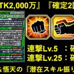 【ドッカンバトル】『確定追撃持ちキャラ』の潜在スキル振りはどうする？極限LR悟飯＆悟天の潜在スキル振りについて