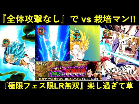 ドッカンバトル全体攻撃無しで栽培マンの戦闘訓練極限フェス限LR達が大暴れ
