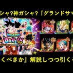 【ドッカンバトル】『グランドサマードッカンフェス』は引くべきか…？解説しつつ龍石100個で20連！