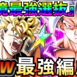 環境最強悟飯『これ組めたら勝ち組』未来悟飯ビースト最強選抜!!ぶっ壊れまくってる!! 【ドッカンバトル】【地球育ちのげるし】