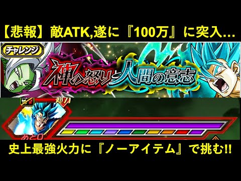 【ドッカンバトル】『殴りATK100万超え』の敵が遂に登場…。『神の怒りと人間の意志』ベジットブルーにノーアイテムチャレンジ！