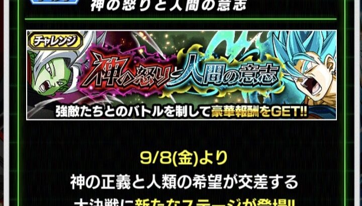 神の怒りと人間の意思 ステージ5、6 ノーアイテムでの攻略メモ(ドッカンバトル)