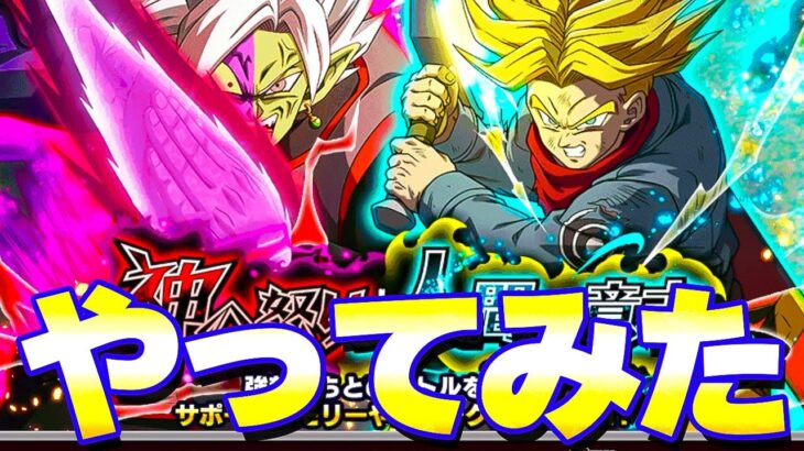 神と人間 VS合体ザマスとトランクスに初見で挑戦【ドッカンバトル】