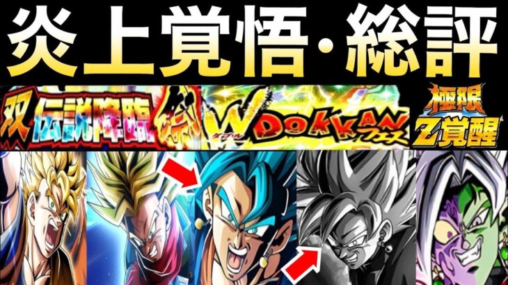 ユーザー不評!?『炎上覚悟』夏大型CPはどうだった？正直◯◯が酷かった..忖度なしで話します。【ドッカンバトル】【地球育ちのげるし】