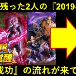 【ドッカンバトル】最後に残された2体の2019年LR…。『伝説降臨LR極限』成功続きの流れに乗れるのか？