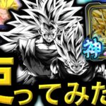 神ランクに厳選したぶっ壊れユニフラでZコンビを使ってみたけどこれって・・・【ドラゴンボールレジェンズ】【DRAGONBALL LEGENDS】【ゲーム実況】