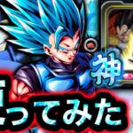 新専用ユニフラで強化されたシャロットを使ってみた【ドラゴンボールレジェンズ】【DRAGONBALL LEGENDS】【ゲーム実況】【レジェンズフェスティバル】