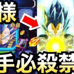 『貴様は許さん』破壊を楽しんでんじゃねぇぞぉぉぉー！！バーチャルドッカン大乱戦【ドッカンバトル】【地球育ちのげるし】