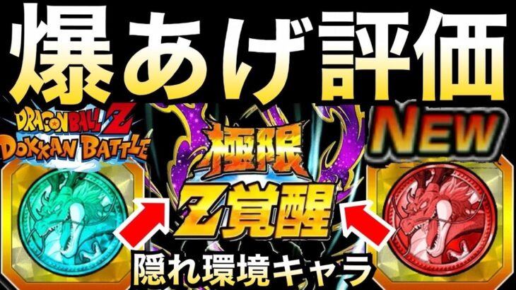 『隠れ優秀キャラ』闘いは..神の領域へ！！【ドッカンバトル】【地球育ちのげるし】