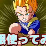 【大当たり】極限したキャベを使ってみた【ドッカンバトル】