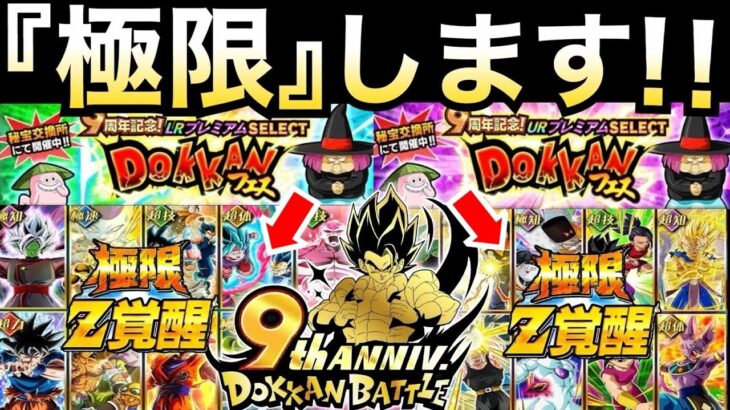 『全ユーザー待望』9周年前半極限キャラについて！！ドカバト9周年【ドッカンバトル】【地球育ちのげるし】
