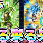 【9周年キャラ確定】LRブロリーとLRゴジータが来る来る来るー！！【ドッカンバトル】