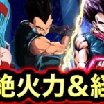 過去一の面白演出wwwブラ＆べジータ使ってみた【ドラゴンボールレジェンズ】【DRAGONBALL LEGENDS】【ゲーム実況】