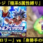 【ドッカンバトル】『至上のバトルスペクタクル』vs身勝手の『極系5属性縛りミッション』に挑む！最強ブロリーvs身勝手！