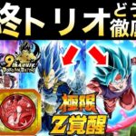 『サ終レベル』極限身勝手＆キラベジはどうするべき？無凸極限作って徹底解説！！ドカバト9周年【ドッカンバトル】【地球育ちのげるし】