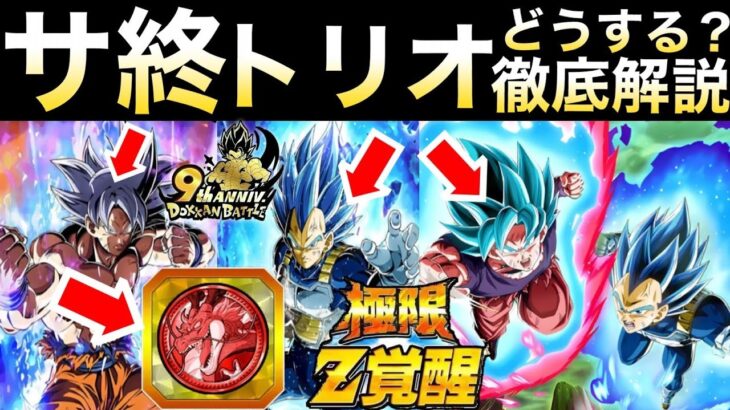 『サ終レベル』極限身勝手＆キラベジはどうするべき？無凸極限作って徹底解説！！ドカバト9周年【ドッカンバトル】【地球育ちのげるし】