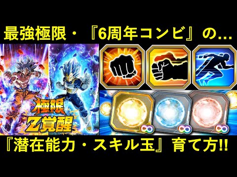 【ドッカンバトル】最強の『6周年極限』潜在能力・スキル玉おすすめの育て方！