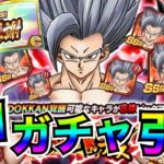 『神ガチャ』ビースト出る確率『96.57%』77連ガチャ引いて出たキャラすぐ編成して挑む！！ドカバト9周年【ドッカンバトル】【地球育ちのげるし】