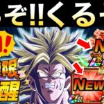 全ユーザー注目『超極限』夏大型CPブロリー最後の大目玉くるぞ！！【ドッカンバトル】【地球育ちのげるし】