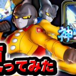 【元最強キャラ】専用ユニフラで超強化されたガンマコンビを使ってみた！【ドラゴンボールレジェンズ】【DRAGONBALL LEGENDS】【ゲーム実況】
