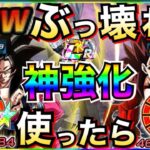 『期間限定ぶっ壊れ』やりすぎ性能『超強化LR悟空4＆ベジータ4』使ったらもっと楽しいじゃねーか！！【ドッカンバトル】【地球育ちのげるし】