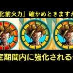 【ドッカンバトル】期間限定強化が来る『3億DL悟飯』現時点での最強火力確かめておきますか…