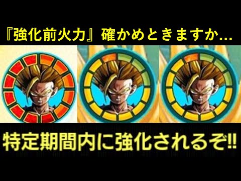 【ドッカンバトル】期間限定強化が来る『3億DL悟飯』現時点での最強火力確かめておきますか…