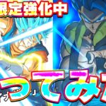 期間限定強化中の5周年ベジットゴジータを使ってみた【ドッカンバトル】