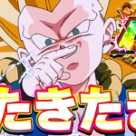 聖龍祭にLRゴテンクスがきたきたきたー！！【ドッカンバトル】