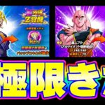 ベジットと悟飯吸収ブウの超極限きたきたきたー！！【ドッカンバトル】