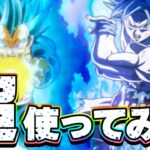 もう超4のお供とは言わせないッ！キラキラベジータを超使ってみた【ドッカンバトル】